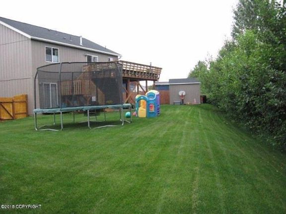 back yard
