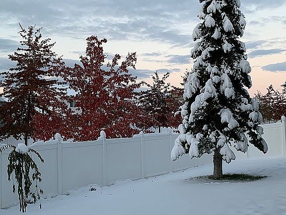 Side of house-Honeysuckle