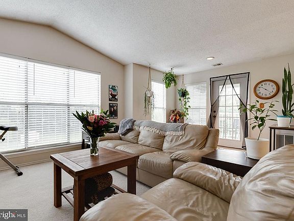 Cathedral Ceilings & Natural Light