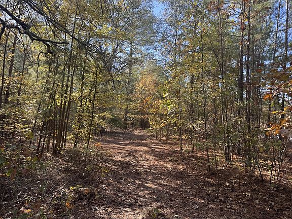 3rd image of 0 County Road 2451