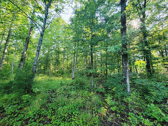 2nd image of 0 Ridgewood Dr Lot 100