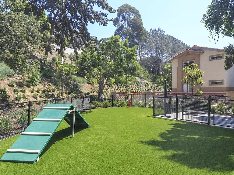 Solazzo Apartment Homes — Photo 10