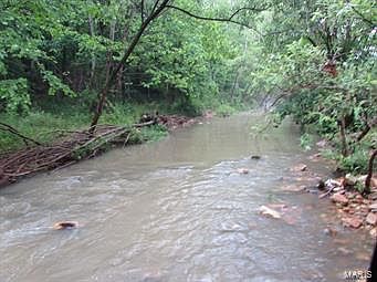 3rd image of 0 Brushy Creek Rd