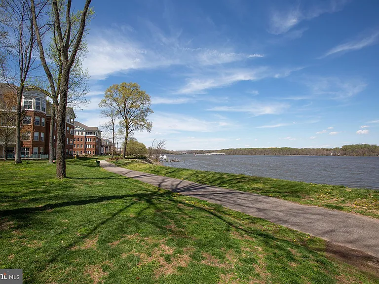 500 Belmont Bay Dr #110 — Photo 52