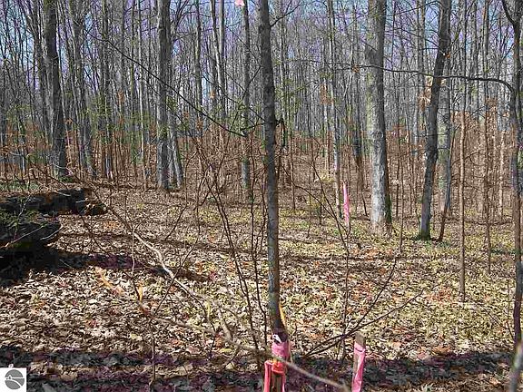 3rd image of W Armstrong Lake Trail B 3