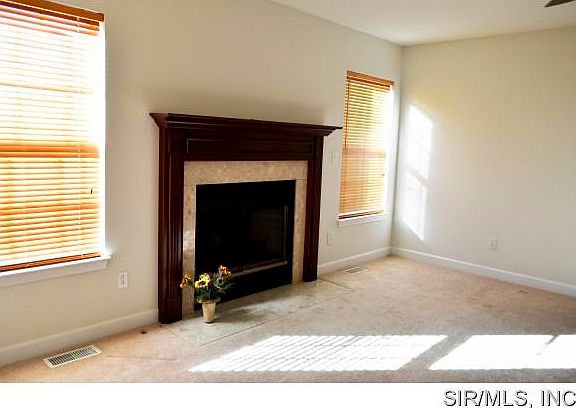 Wood Burning Fireplace