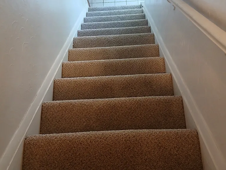 8513 Silver Fox Rd — Photo 14