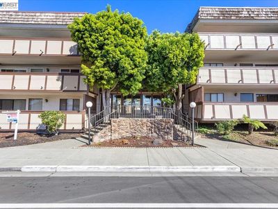 1550 Bancroft Ave APT 223, San Leandro, CA, 94577
