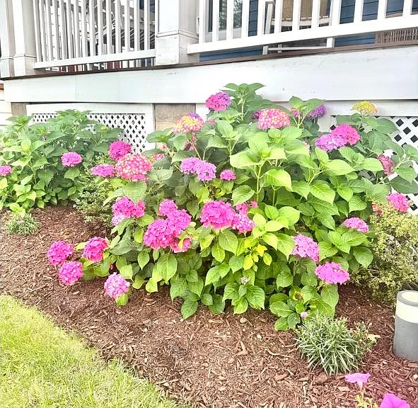 20 Colonial Rd — Photo 30