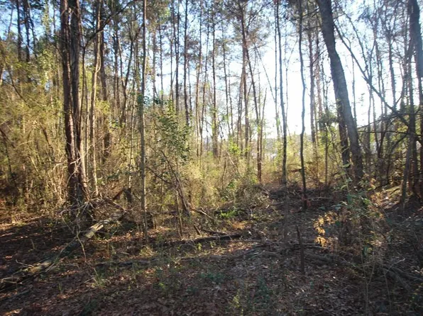 1524 Parker Dr, Laurel, MS 39440