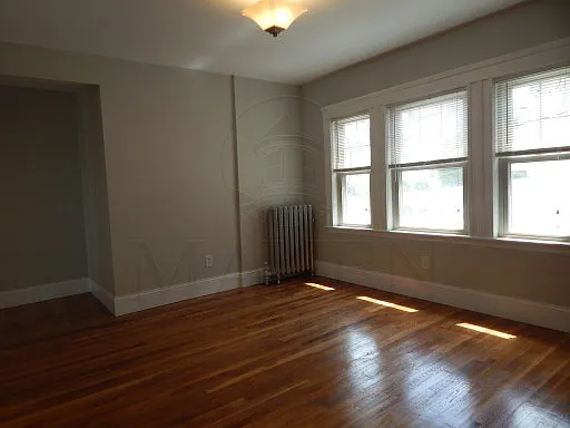 11 Sycamore St #2 — Photo 4