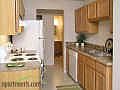1st image of 3741 La Fontaine Ct APT 28