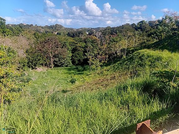 4th image of Solar 1 Road Km .8 Int Bo Cruces Lote #1-412