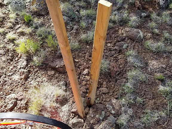 5th image of 837 E Coconino Trl