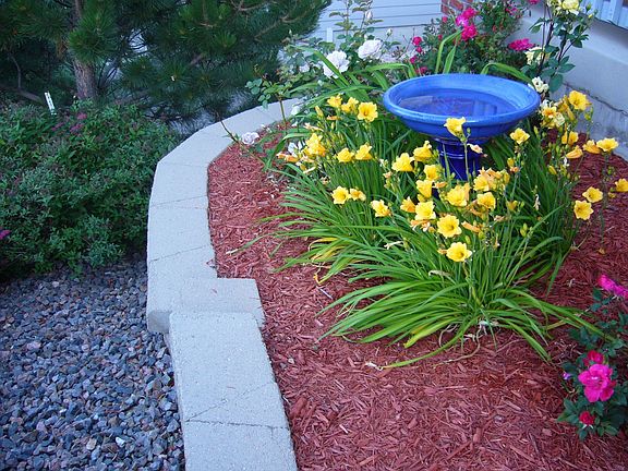 Flower Garden