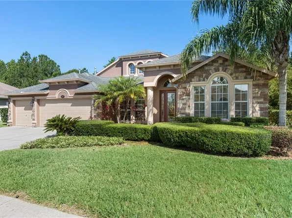 16200 Ivy Lake Dr, Odessa, FL 33556