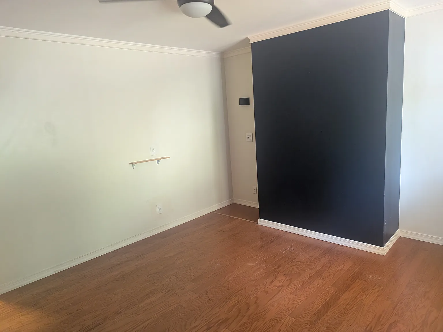 3 Alexis St — Photo 4