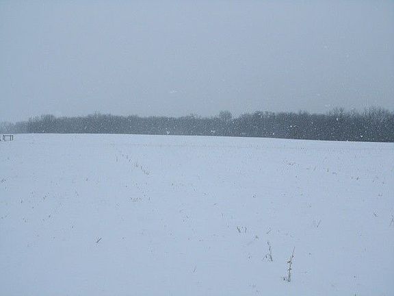 4th image of 9145 E State Road 120