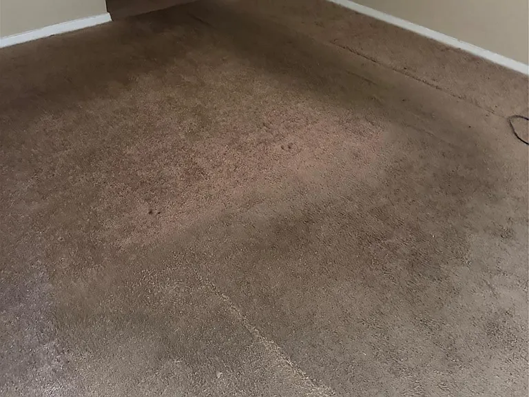 6305 Dryad Dr #630 — Photo 5