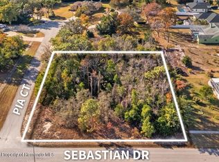 Sebastian Dr, Spring Hill, FL 34609