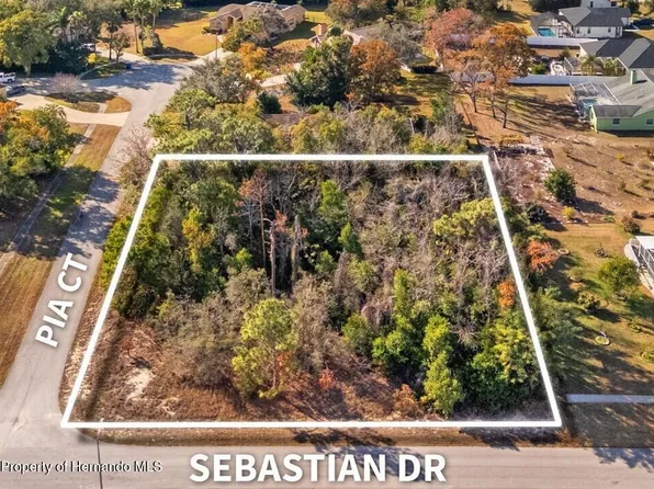 Sebastian Dr, Spring Hill, FL 34609