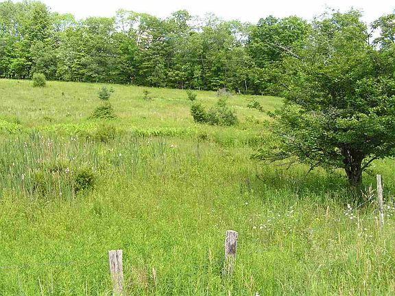 2nd image of 646 COUNTY HIGHWAY 41