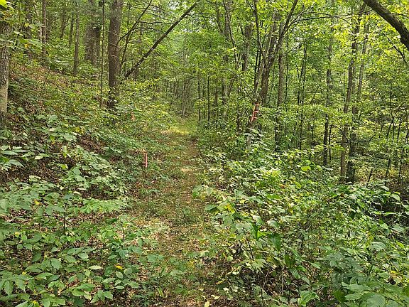 5th image of 0 Piney Creek Rd