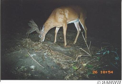 1st image of 0 720th Avenue
