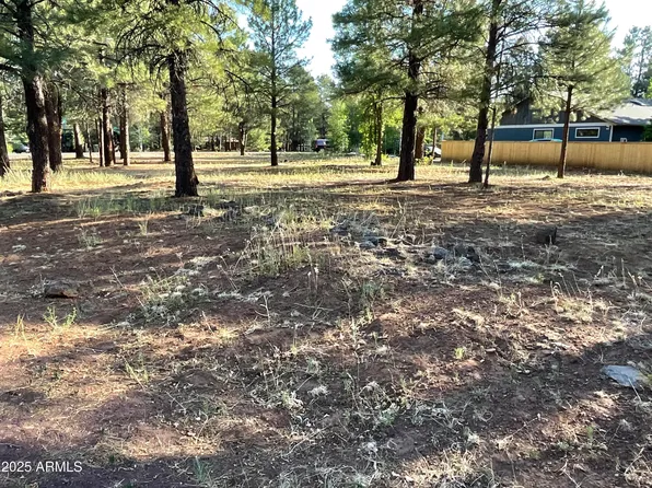 5151 SADDLE STRAP Way #44, Pinetop, AZ 85935