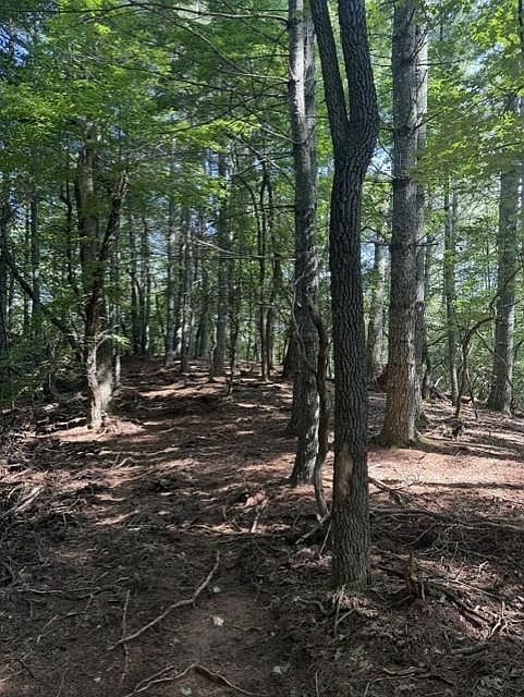 1st image of 150 Wayah Rd