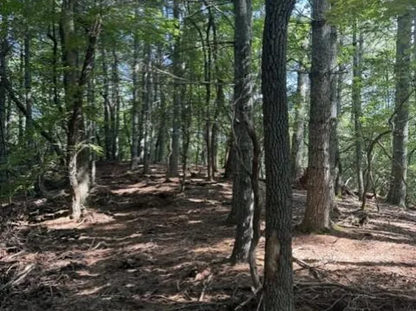 150 Wayah Rd, Franklin, NC 28734