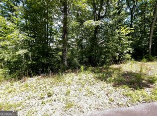 LOT 20 Fodder Creek Mill Rd, Hiawassee, GA 30546