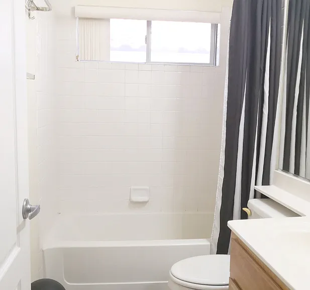 Polynesia Cir — Photo 8