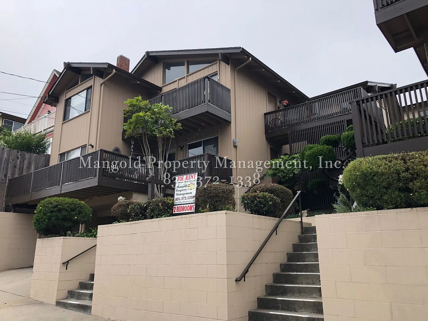 491haw — Photo 2