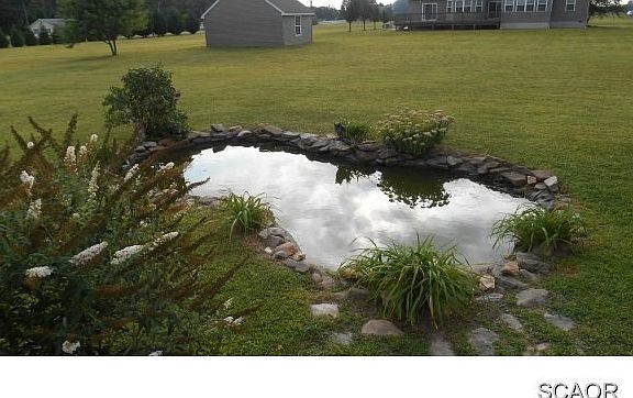 Scenic Pond