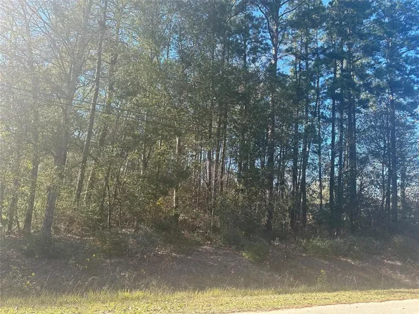 TBD Woods Drive, New Caney, TX 77357