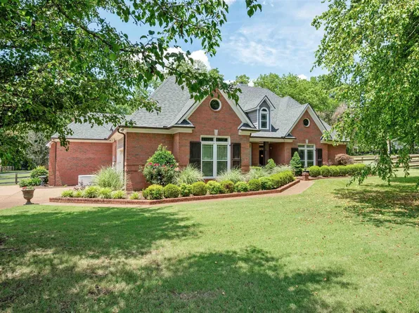 685 Cold Creek Dr, Collierville, TN 38017