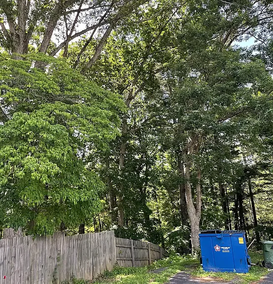 25 White Pine Dr — Photo 9