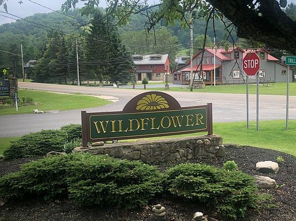 7 Wildflower