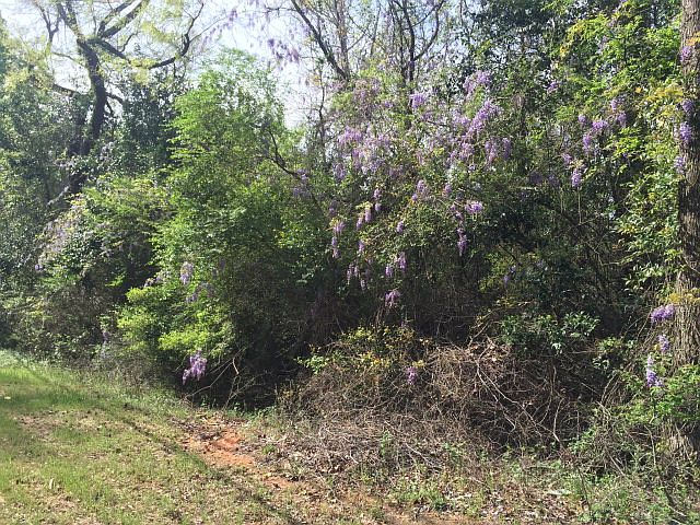 2nd image of 5080 Saint Marys Rd