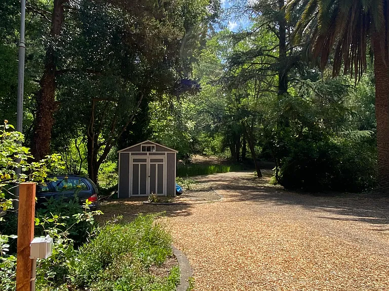 Driveway (with parking and storage shed)