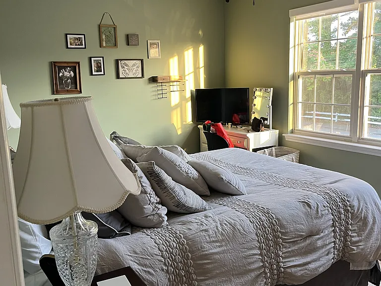 Various furnished pics