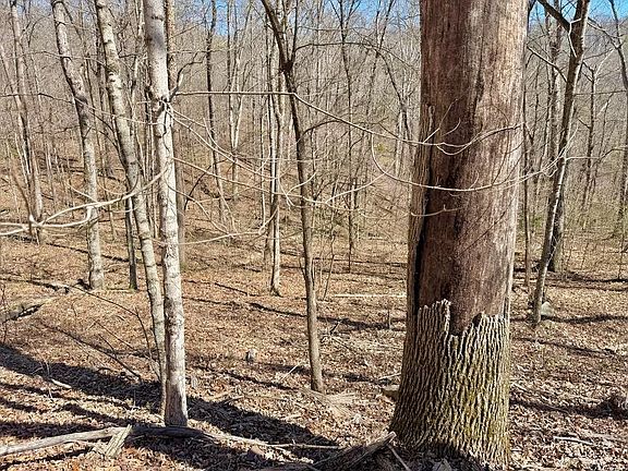 5th image of 285 Kaufman Rd