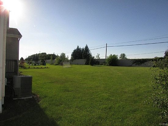 Backyard 3