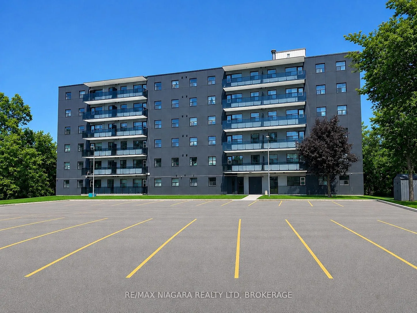1 bed, $1,895 — Photo 3