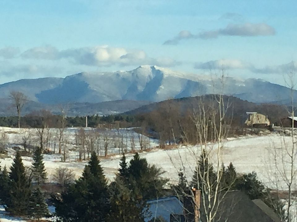 View from living room
