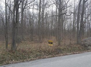 9820 Brauer Rd, Clarence Center, NY 14032