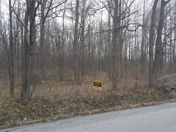 9820 Brauer Rd, Clarence Center, NY 14032