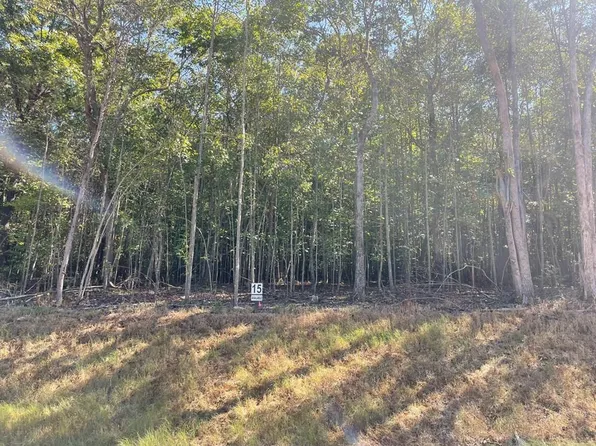 15 Clear Creek Rd, Ellijay, GA 30536