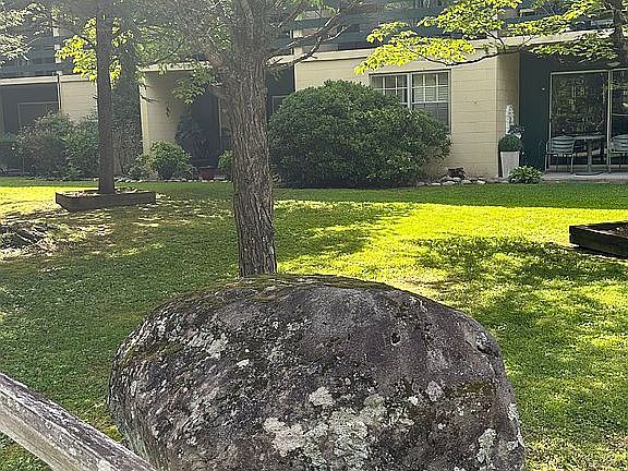 Large Flat Common Yard